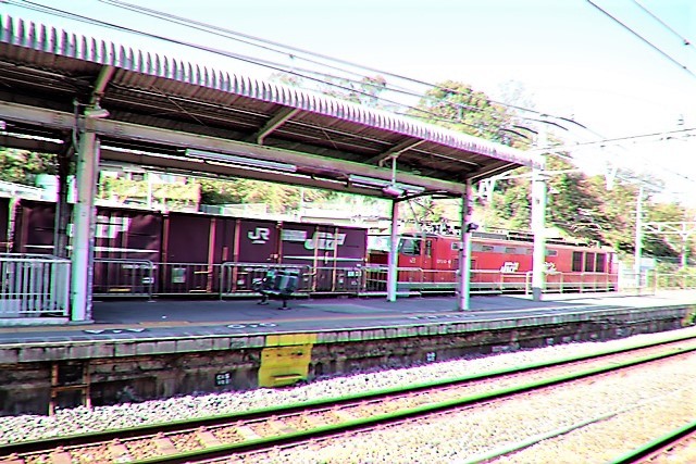 d0181492_20361641.jpg