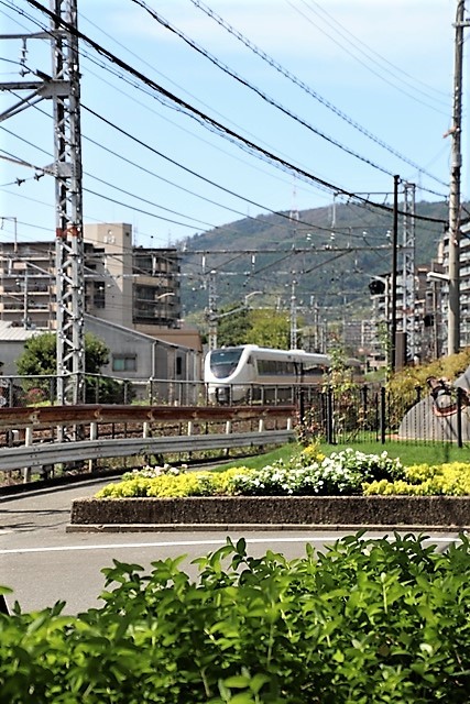 d0181492_20373030.jpg