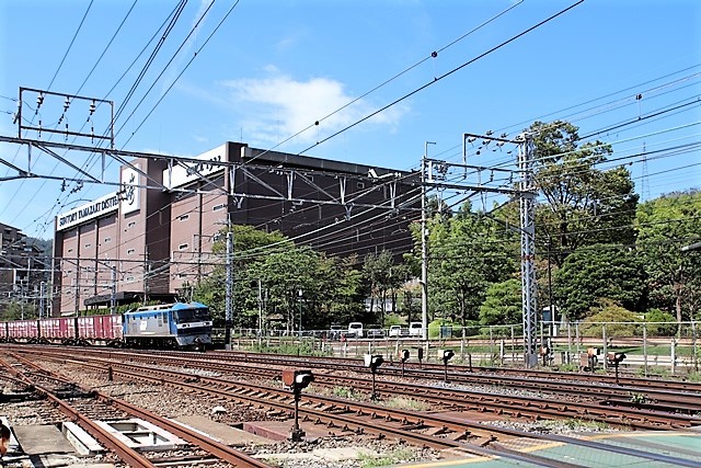 d0181492_20374747.jpg