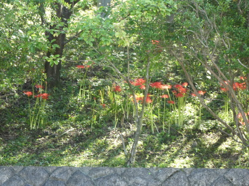 c0108198_15194900.jpg