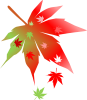 f0242002_19564056.png