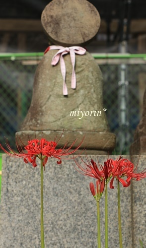 a0123003_22093754.jpg