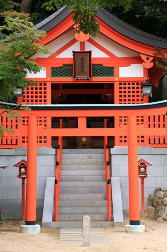 a0123003_22414136.jpg