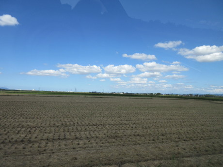 a0203003_20070464.jpg