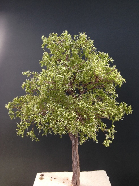 ｂｏｙｓ ｌｉｆｅ その 樹木と草 マルタカヤ模型