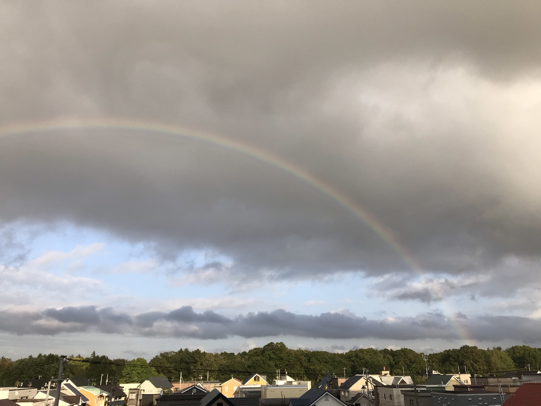 d0363108_17322519.jpeg