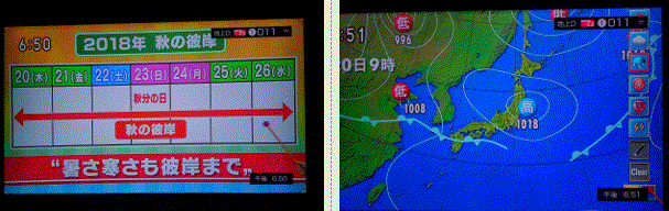 f0231709_11495305.gif