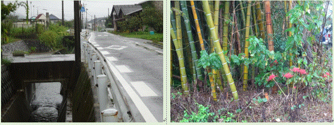 f0231709_11510252.gif
