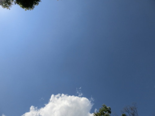 d0221319_19295850.jpg