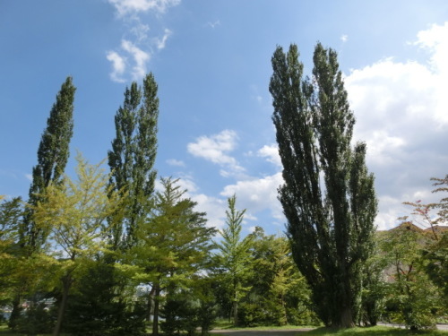 d0221319_19393119.jpg