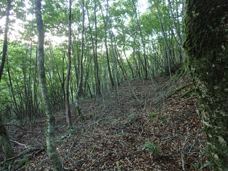 f0193521_78191.jpg