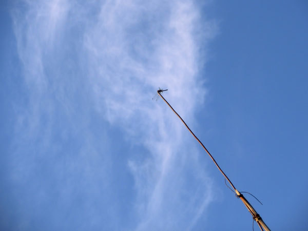 d0066822_08172924.jpg