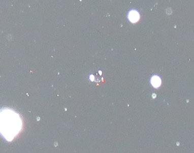 c0331825_09274843.jpg