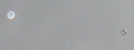 c0331825_10013845.jpg