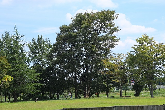 e0321325_19221457.jpg