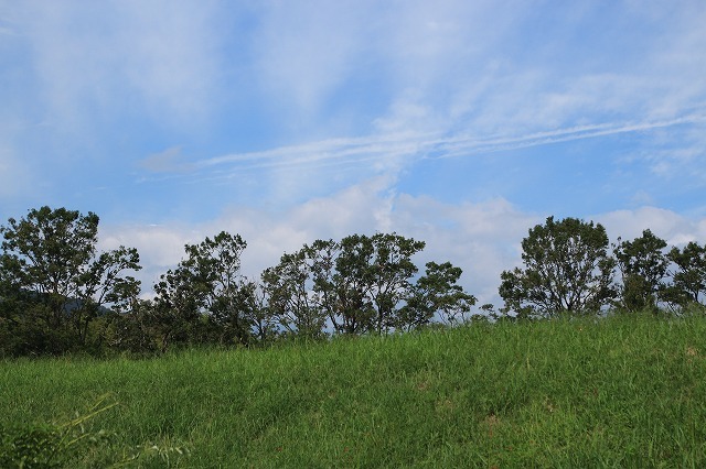e0321325_19224265.jpg