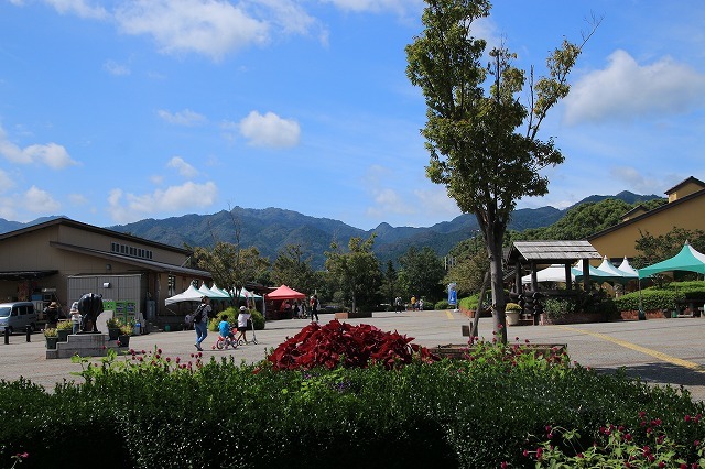 e0321325_19244946.jpg