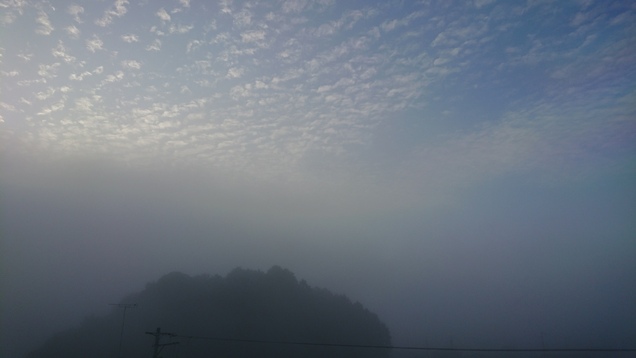 f0061531_892124.jpg