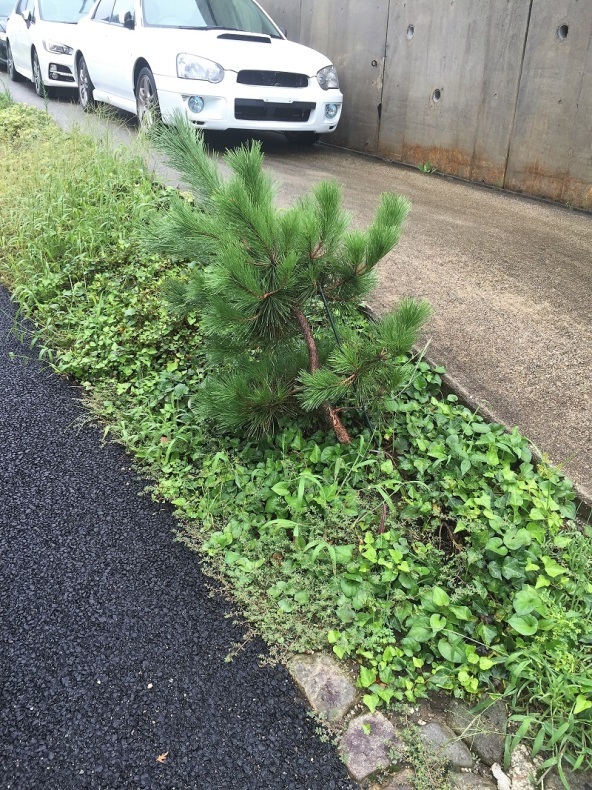 SVXの諸元を振り返る_f0076731_11415009.jpg