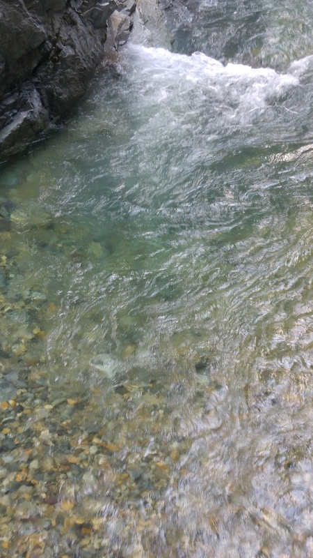 岐阜の宝物、小坂の滝めぐり🎵_f0361132_10554929.jpg