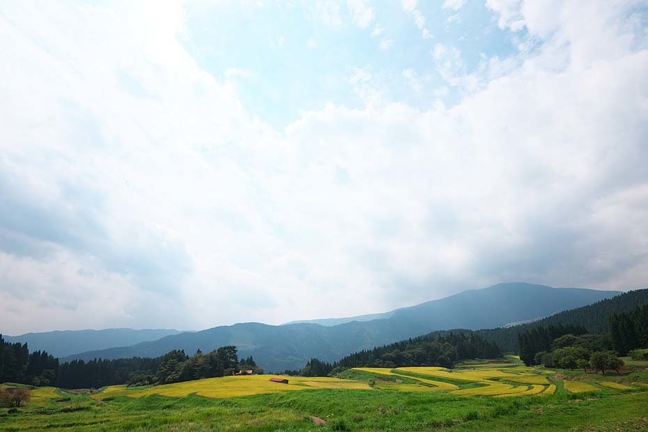 別宮の棚田～実りの頃～_c0067040_20122917.jpg