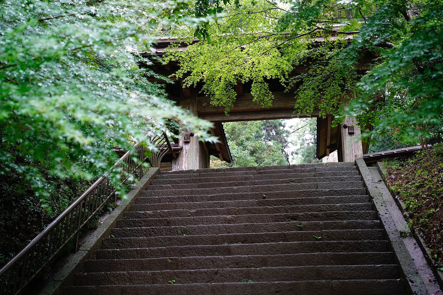 【重要文化財｜飯高寺】　行き方、参拝のしかた　（千葉県）_b0212342_13105441.jpg