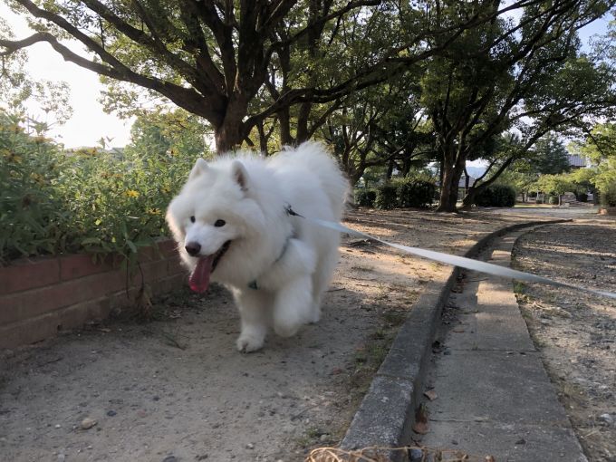 2018年9月前半インスタ写真集_f0128542_01391124.jpg