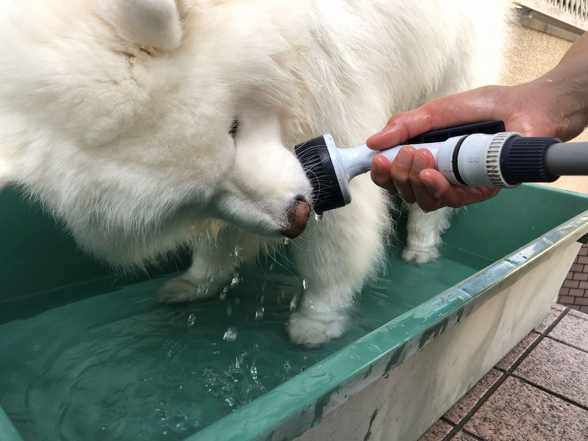 2018年9月前半インスタ写真集_f0128542_01404282.jpg