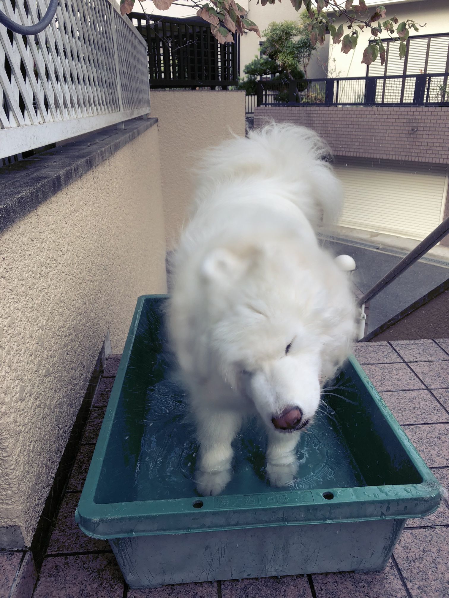 2018年9月前半インスタ写真集_f0128542_01423594.jpg