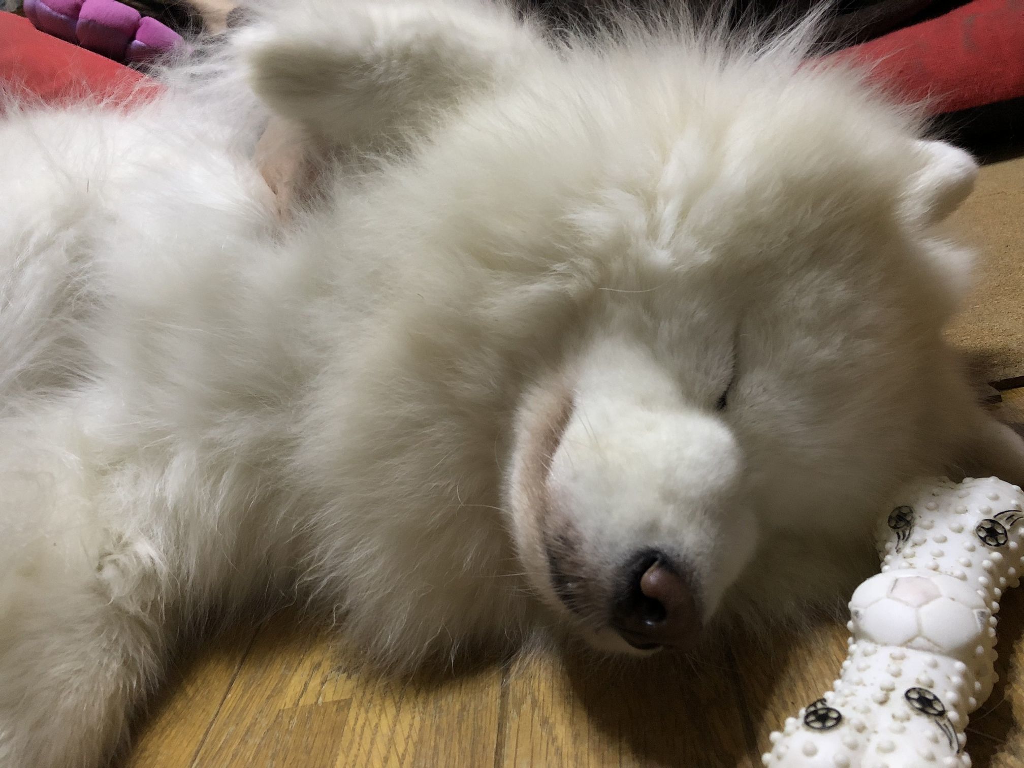 2018年9月前半インスタ写真集_f0128542_01432981.jpg