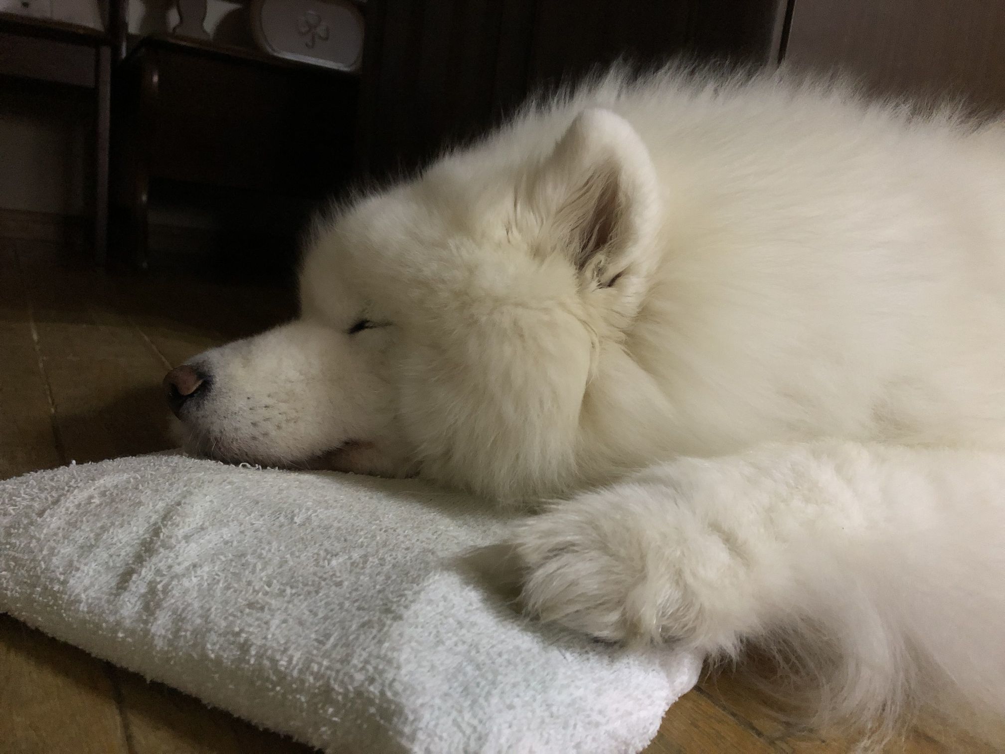 2018年9月前半インスタ写真集_f0128542_01451652.jpg
