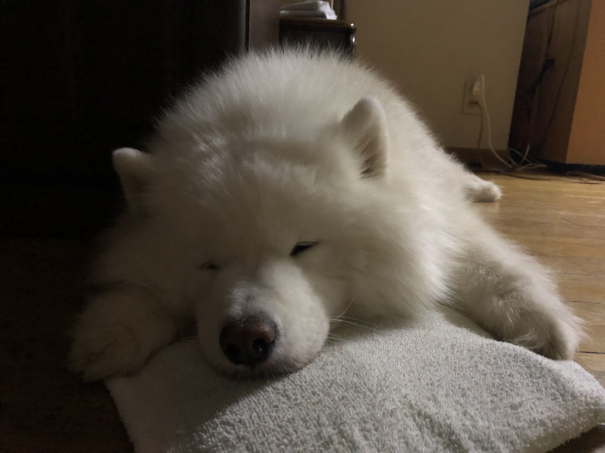 2018年9月前半インスタ写真集_f0128542_01465017.jpg