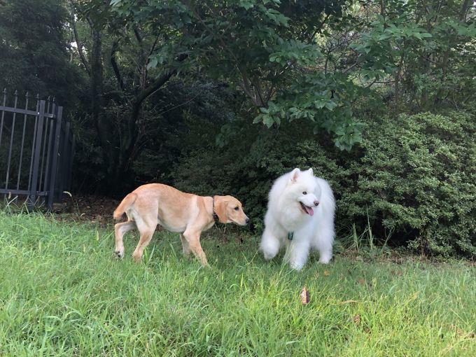 2018年9月前半インスタ写真集_f0128542_01484795.jpg