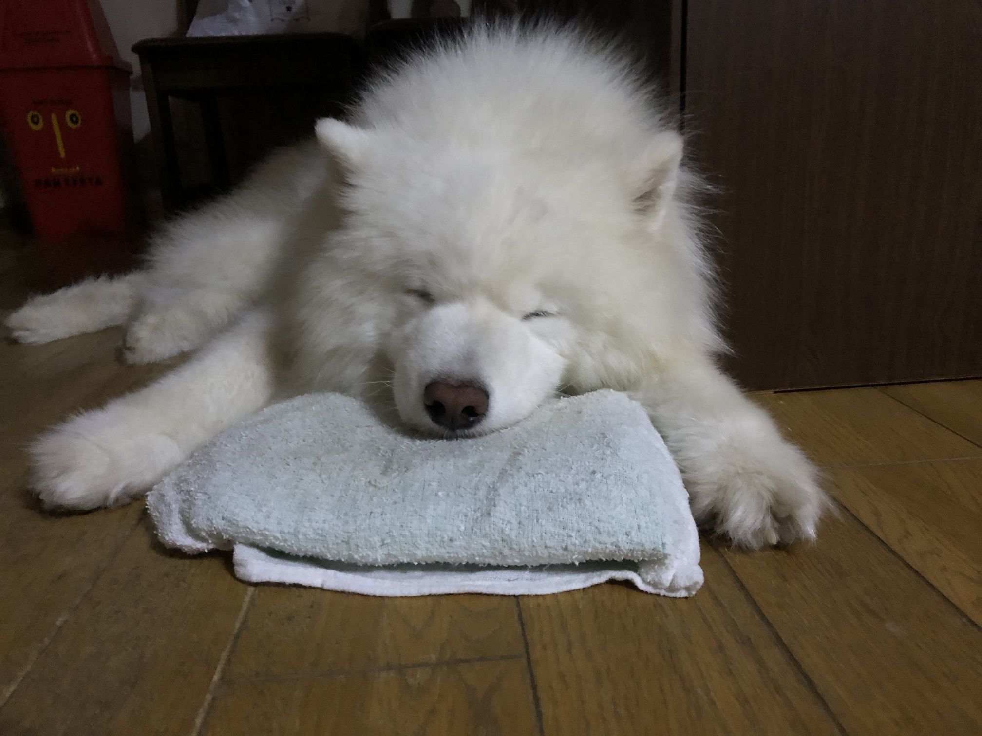 2018年9月前半インスタ写真集_f0128542_02014997.jpg