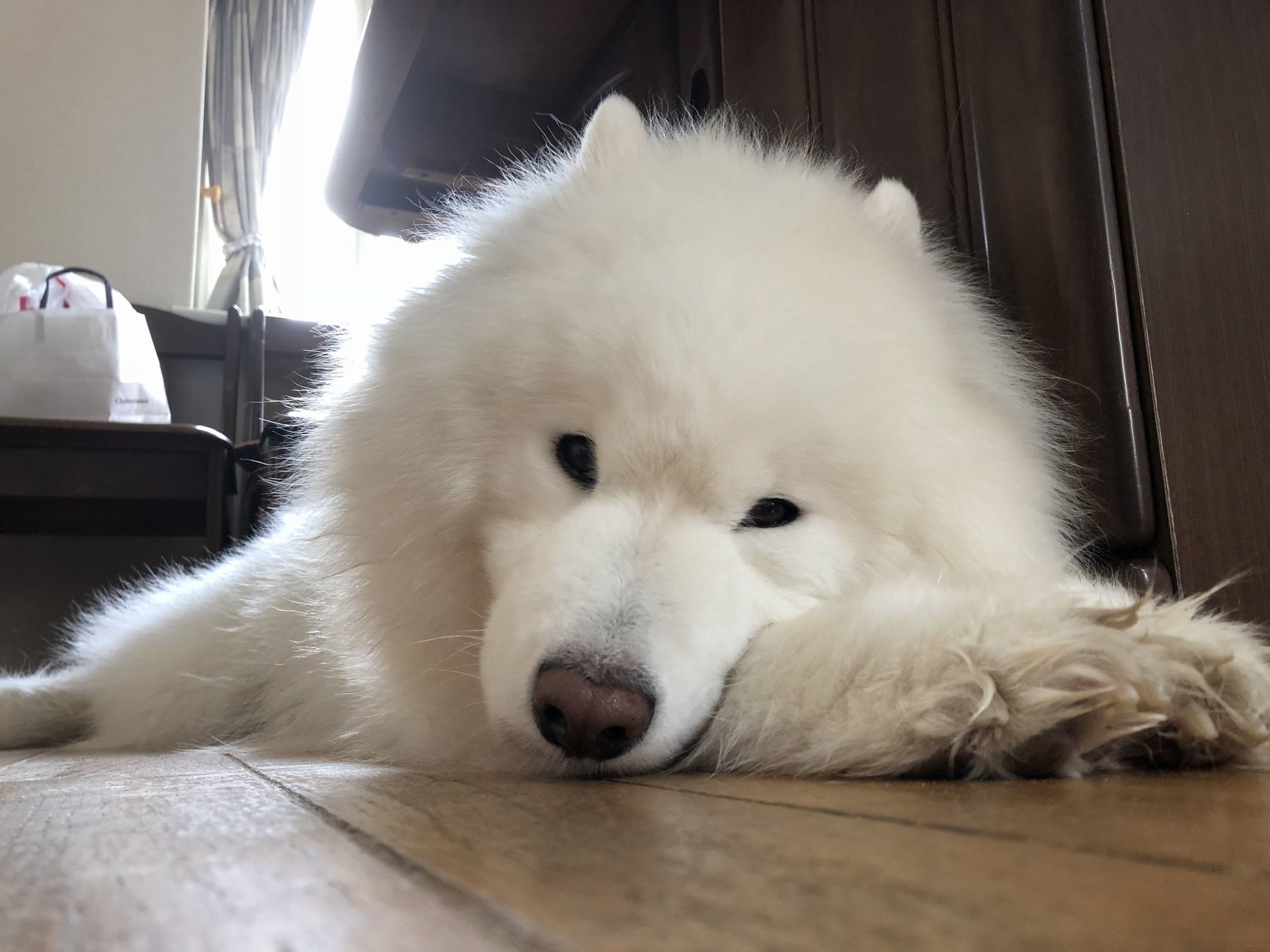2018年9月前半インスタ写真集_f0128542_02093763.jpg