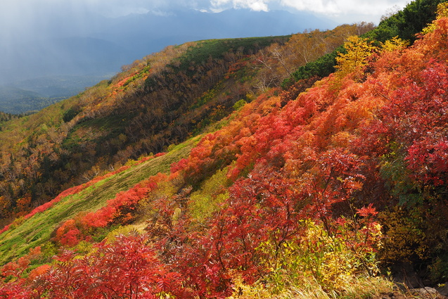 速報　2018/9/15～20　大雪山に行ってきました～♪_b0189948_219898.jpg