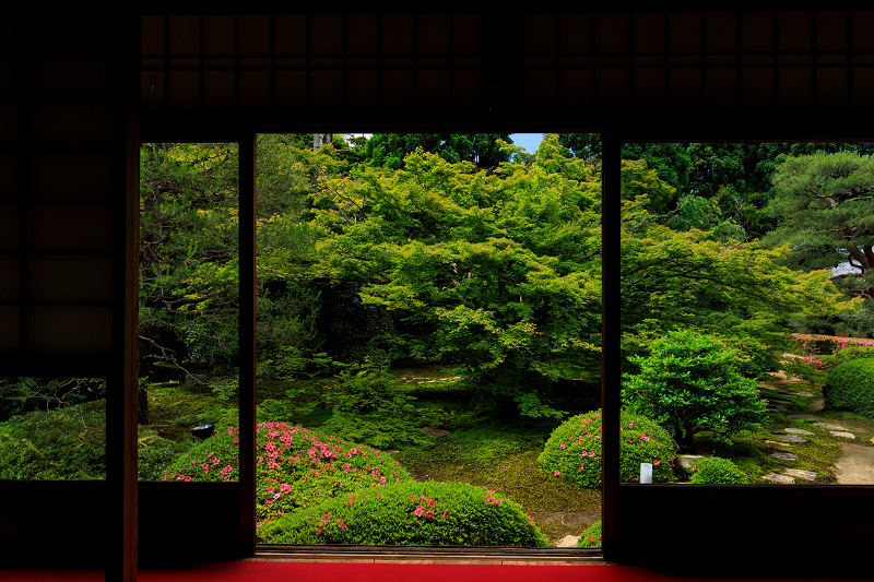 雲龍院・サツキの季節（泉涌寺塔頭）_f0155048_0113219.jpg