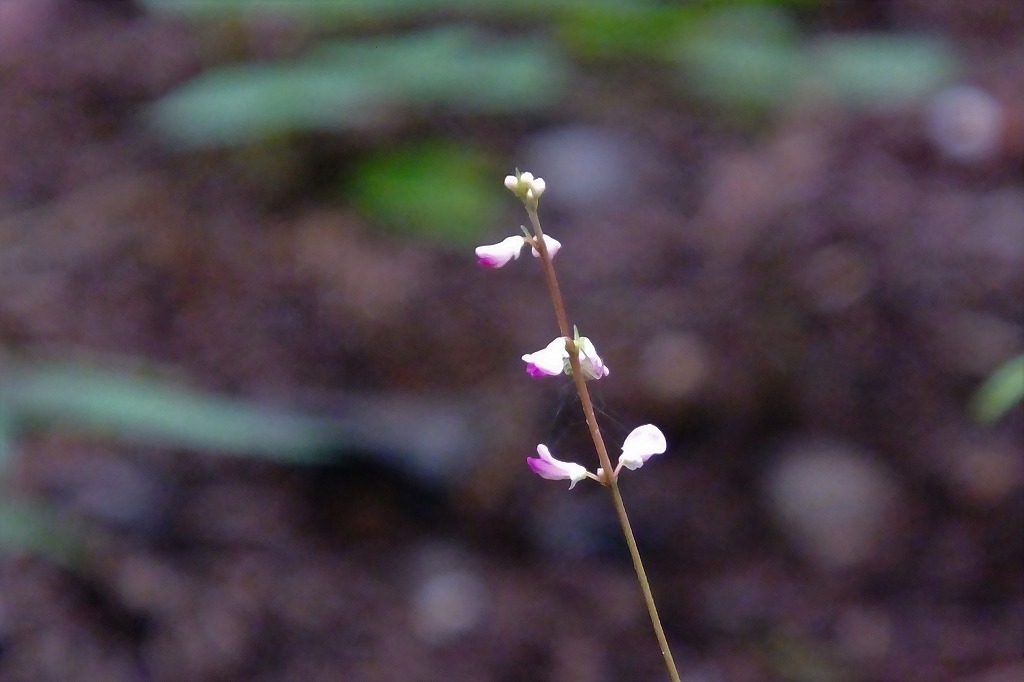 b0236251_14114557.jpg