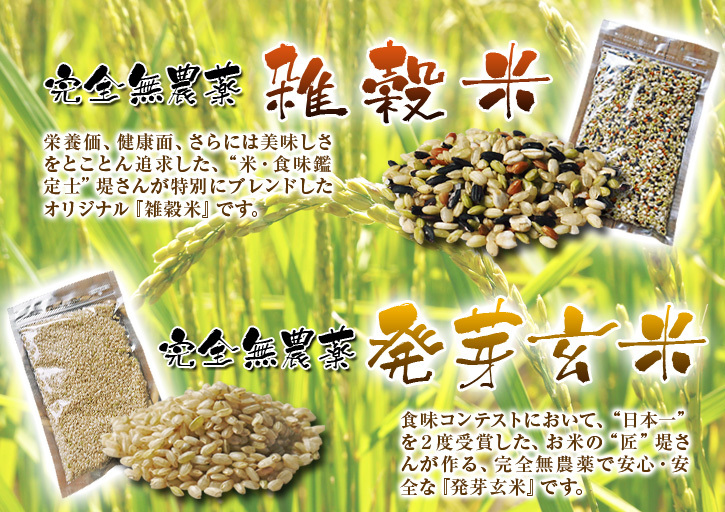 熊本県産!健康農園さんの無農薬栽培『雑穀米』『発芽玄米』大好評販売中!令和6年度の稲刈りはまもなく_a0254656_16370042.jpg