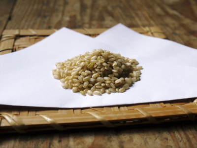 健康農園さんの無農薬栽培『雑穀米』『発芽玄米』売れてます！平成30年度の稲刈りはまもなくです！_a0254656_16422831.jpg