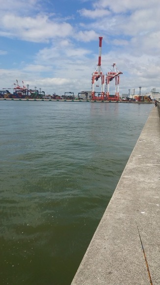 b0206856_00323829.jpg