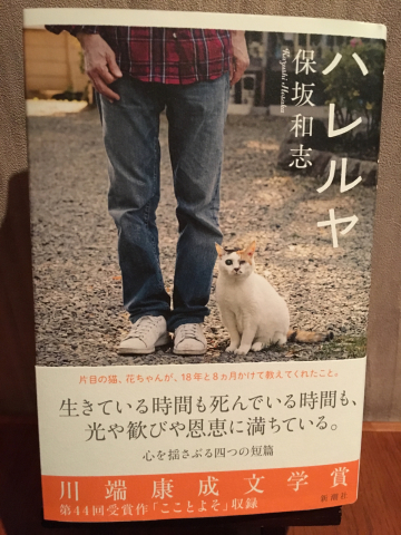 『〈ある〉と〈ない〉だけではない世界の感触への通路』になった_f0082056_23592233.jpg