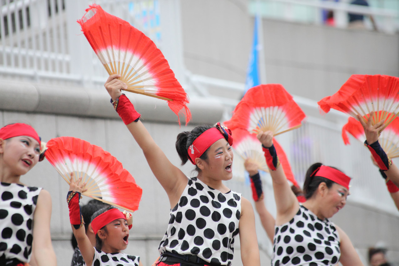 ハマこい2018【22】_c0299360_2218204.jpg