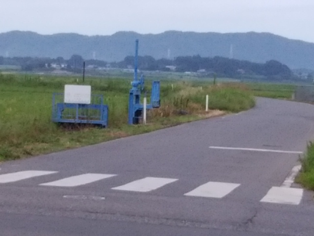 e0009760_89513.jpg