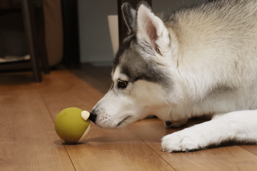a0241761_15412649.gif