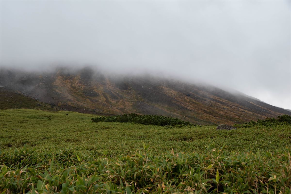 b0281366_20433892.jpg