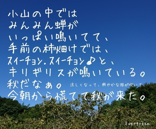 8/16(木) ~8/20(月) 夏やすみ日記【5】~おやつ*花空庭*オオハンゴンソウ*子連れ狼*昭和~_d0362666_13522198.jpg