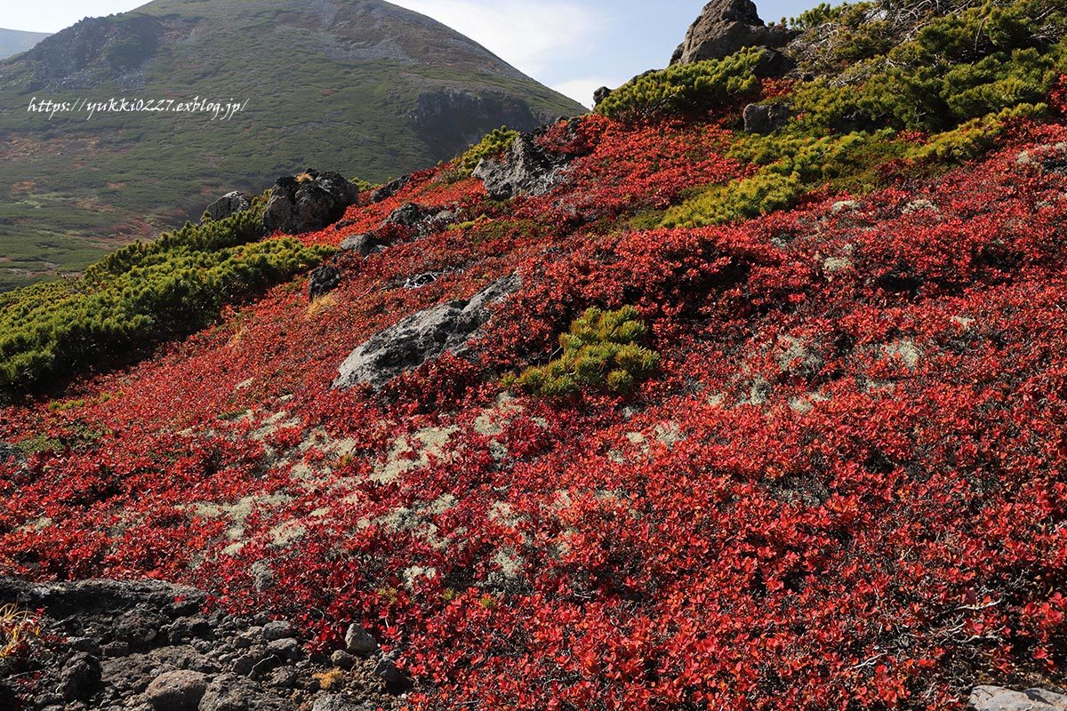 f0054366_11123214.jpg