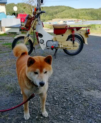 カブ主さん紹介 Md乗ってきました Noraな日々 カブ主さん紹介 Md乗ってきました Noraな日々