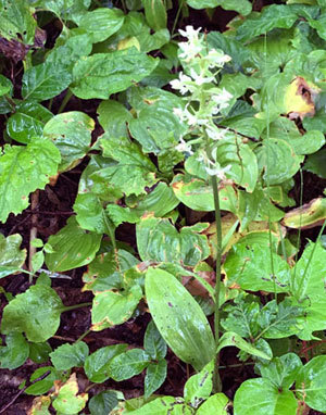 f0083977_06331497.jpg